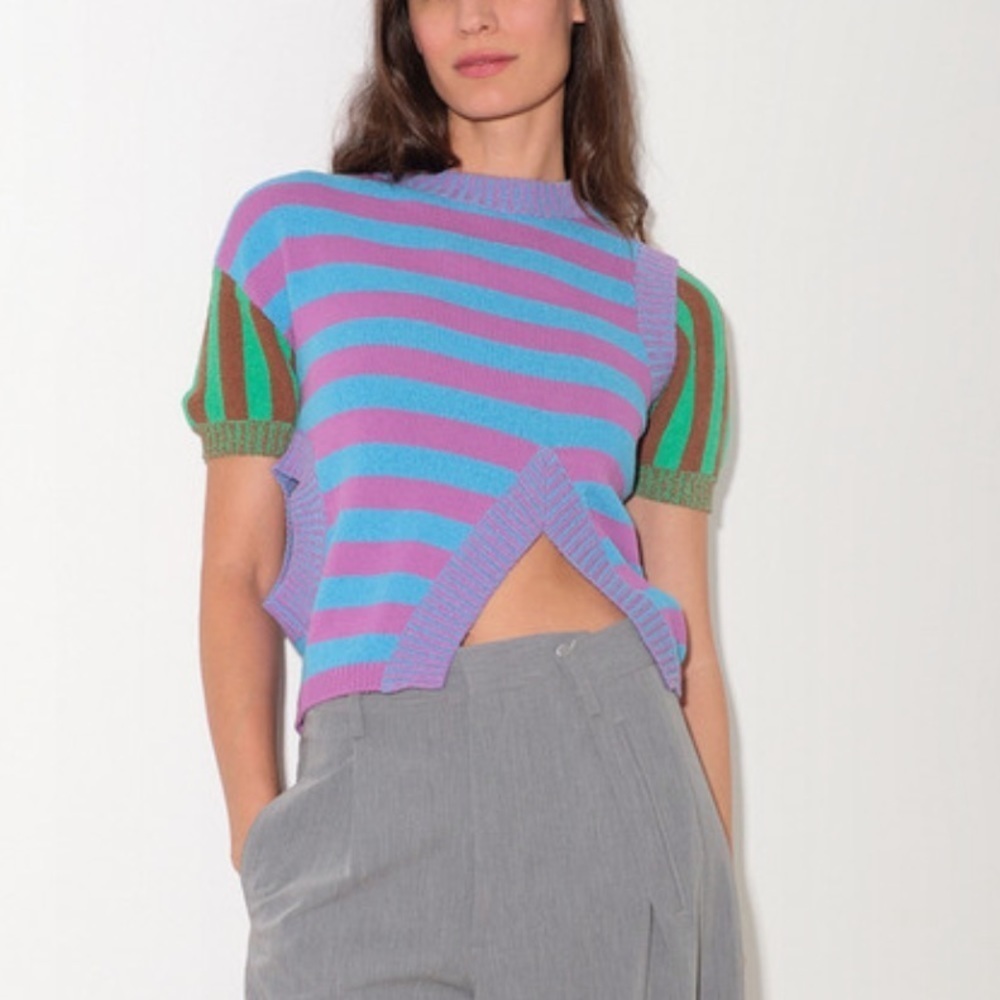 Striped Knit Cropped Top in Lavender & Blue